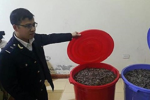 Lạng Sơn “chặn đường” trên 100 kg vẩy tê tê trên đường đi tiêu thụ
