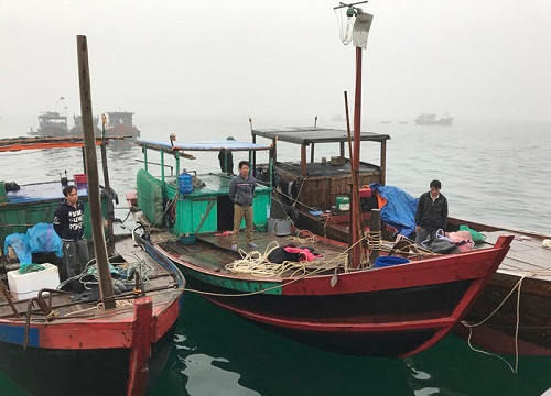 Quảng Ninh liên tiếp bắt giữ phương tiện khai thác thủy sản trái phép