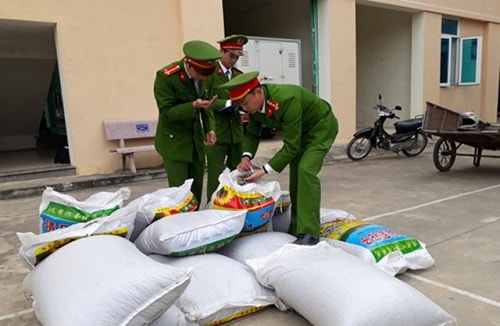 Thanh Hóa thu giữ hơn 3 tạ hướng dương không rõ nguồn gốc