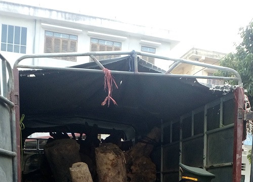 Bắc Giang bắt vụ vận chuyển 1,4 m3 gỗ quý, hiếm trái pháp luật