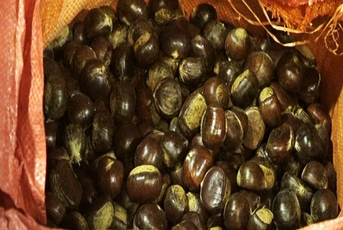 Lạng Sơn: Hơn 2 tấn hạt dẻ không rõ nguồn gốc xuất xứ