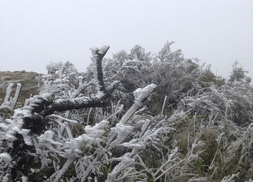 Đỉnh Mẫu Sơn rét – 1.6°C, băng tuyết phủ trắng