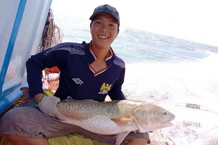 Cà Mau: Ngư dân bắt được cá to nghi là cá sủ vàng