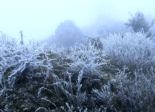 Không khí lạnh tăng cường, đỉnh Mẫu Sơn rét -0.6°C