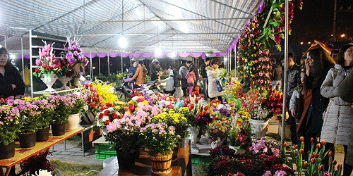 40 gian hàng tham gia Hội chợ hoa xuân Đầm Hà (Quảng Ninh)