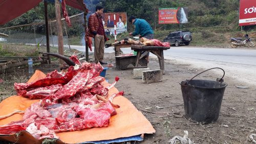 Lào Cai có 77 con gia súc chết rét trong một ngày