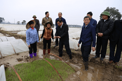 Bộ trưởng Nguyễn Xuân Cường trực tiếp lội ruộng kiểm tra lấy nước, chăm sóc mạ