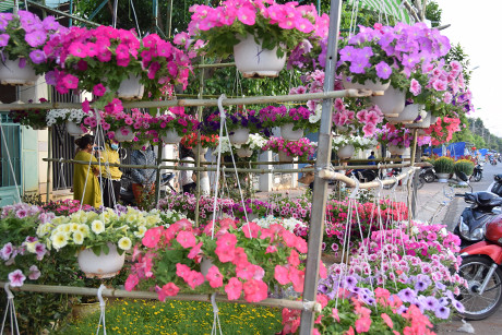 Chợ hoa xuân Mậu Tuất 2018 – Kon Tum