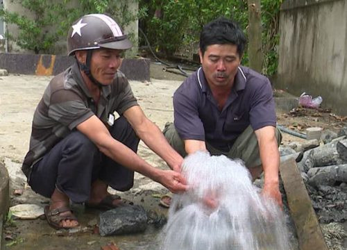 Tuy An (Phú Yên) xuất hiện thêm một giếng nước tự phun