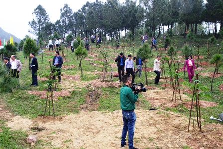 Thừa Thiên – Huế: 120 cây lim được trồng mới tại lễ phát động “Tết trồng cây đời đời nhớ ơn Bác Hồ” Xuân Mậu Tuất năm 2018