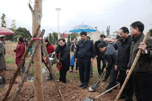 Thị xã Sơn Tây triển khai trồng 30.000 cây xanh trong năm 2018