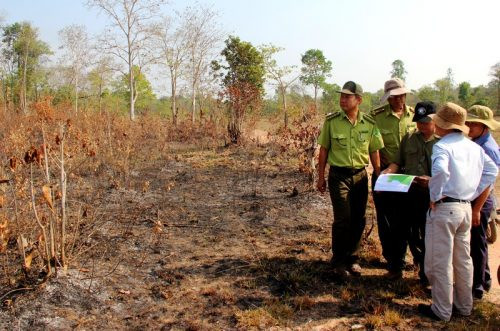 Tây Ninh: Người dân đốt rừng, lấn chiếm đất rừng làm rẫy