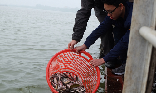 Làng Bát Tràng tổ chức lễ phóng sinh gần 5 tấn cá trong ngày vía Thần Tài