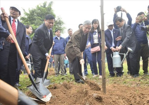 Bắc Ninh trồng khoảng 60.000 cây xanh hưởng ứng Tết trồng cây Xuân 2018