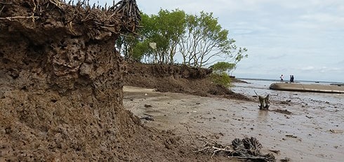 Tiền Giang: Hoạt động sinh hoạt, sản xuất gặp nhiều khó khăn do gió chướng thổi mạnh