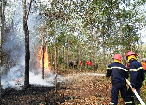 Yên Bái: Cháy rừng phòng hộ tại Trạm Trấu