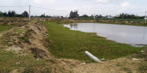 Quảng Nam: Lãng phí đầu tư dự án nuôi tôm tiền tỷ rồi bỏ hoang