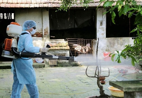 Bình Thuận triển khai Tháng vệ sinh tiêu độc khử trùng đợt 1/2018