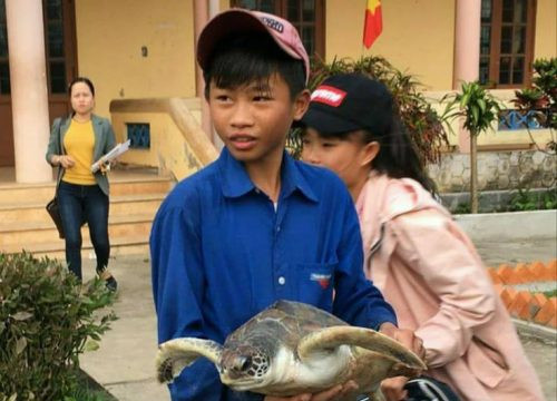 Vĩnh Linh (Quảng Trị) khen thưởng học sinh cứu và thả rùa về biển