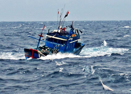 Nghệ An: Tàu hàng đâm chìm tàu cá, 7 ngư dân được cứu sống