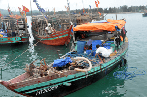 Phát động Tháng hành động bảo vệ nguồn lợi thủy sản vùng ven biển