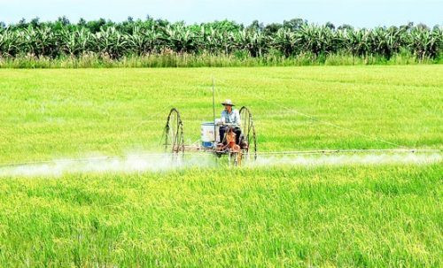 Xu thế phát triển nông nghiệp hữu cơ ở Ninh Thuận