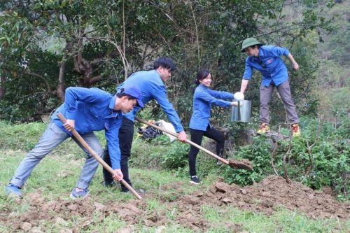 Tỉnh đoàn Thanh niên Cao Bằng trồng gần 300 cây đào tại Khu Di tích Quốc gia đặc biệt Pác Bó
