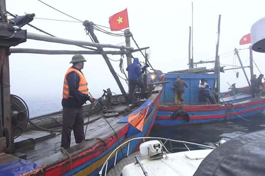 Tạm giữ 2 tàu cá đánh bắt trên vùng biển cấm khai thác