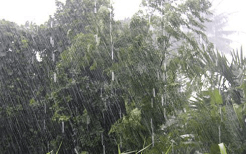 Dự báo thời tiết ngày 16/3: Tây Nguyên, Nam Bộ có mưa rào và dông rải rác