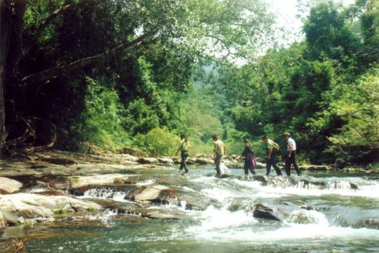 Bắc Giang: Tăng cường lực lượng “bảo vệ rừng tại gốc”