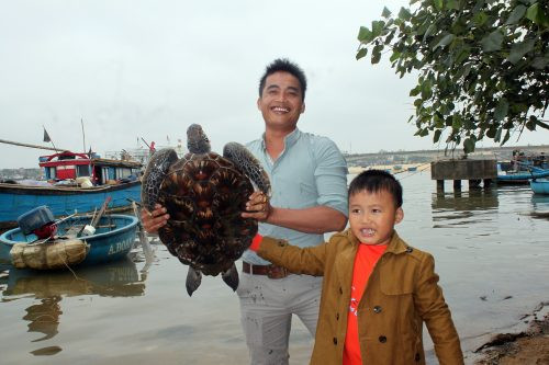 Rùa biển nặng 12kg được thả về môi trường tự nhiên