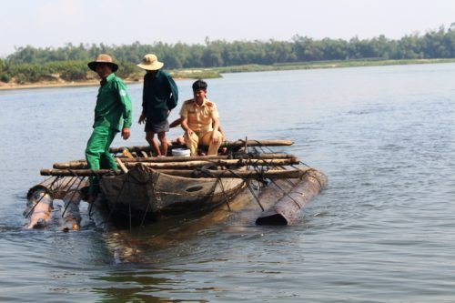 Bắt gỗ lậu trên sông Thu Bồn