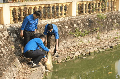 Hưởng ứng Tháng Thanh niên: Ra quân làm sạch hồ Phú Diễn