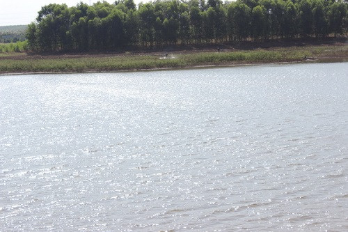 Lâm Đồng cấp phép nuôi cá nước ngọt trên hồ thủy lợi trong 5 năm