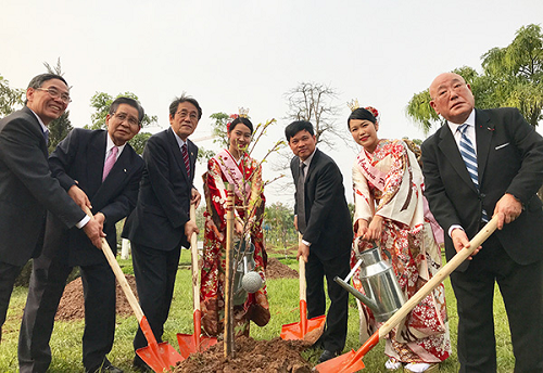 Nhật Bản trao tặng 172 cây hoa anh đào cho Thủ đô Hà Nội
