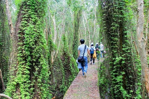 Con đường xuyên rừng “độc nhất vô nhị” ở Việt Nam