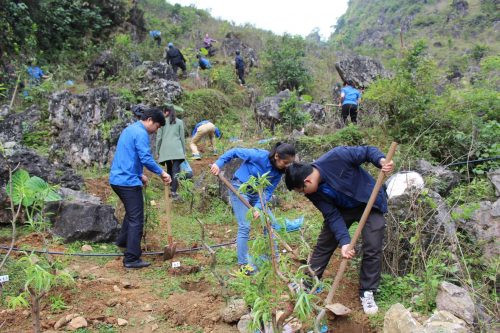 Cao Bằng trồng 200 cây đào tại Khu du lịch động Ngườm Ngao