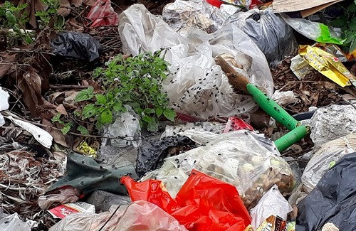 Nghệ An: Người dân bị hành hạ bởi rác thải tràn ngập đường 8B