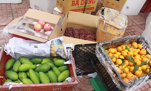 2 tấn hoa quả không rõ nguồn gốc “đi xe khách” vào Nghệ An tiêu thụ