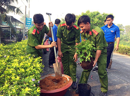 Chiến sĩ dân quân cơ động trồng 250 cây bông xây dựng tuyến đường đẹp