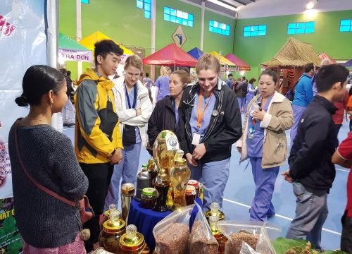 Phiên chợ sâm Ngọc Linh lần thứ 7 tại Quảng Nam thu về gần 5 tỷ đồng