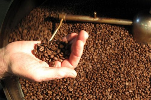 Giá cà phê “trượt dài” trong nhiều ngày liên tiếp
