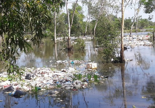 Bãi rác nhỏ dần trở thành “điểm đen” gây ô nhiễm môi trường
