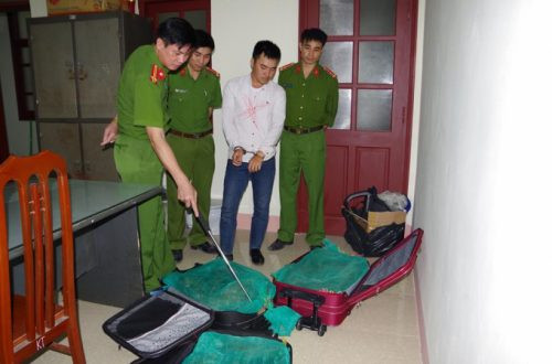 “Tuýt còi” 3 vali rắn hổ mang từ Sài Gòn ra Hà Nội tiêu thụ