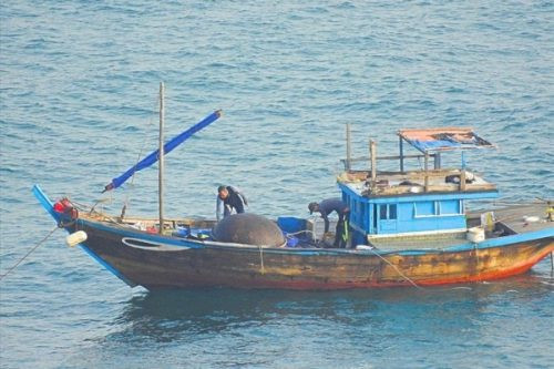 Tạm giữ ghe dùng thuốc nổ đánh bắt cá trên vùng biển Đà Nẵng