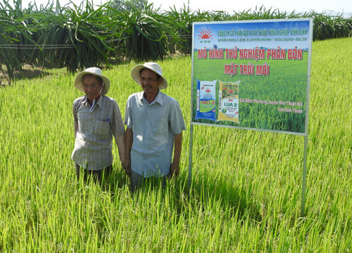 Nông dân Bình Thuận được thử nghiệm phân bón chuyên dùng cho lúa