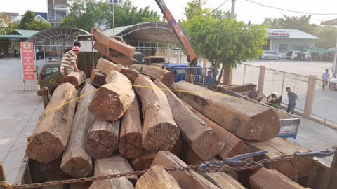 “Tuýt còi” xe tải chở 5m3 gỗ không có giấy tờ hợp pháp