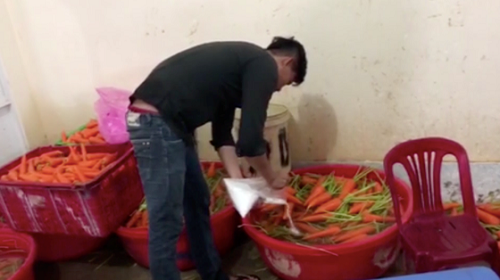 Thu giữ hơn 6 tấn củ cải và cà rốt “tắm” hóa chất
