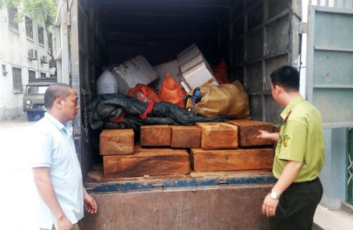 Phát hiện gần 200 thanh gỗ đã cưa xẻ tại Bình Phước