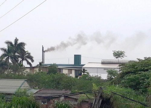 Phúc Thọ (Hà Nội): Cơ sở đốt lò sấy miến gây ô nhiễm nghiêm trọng, người dân bất lực chờ chính quyền “giải cứu”